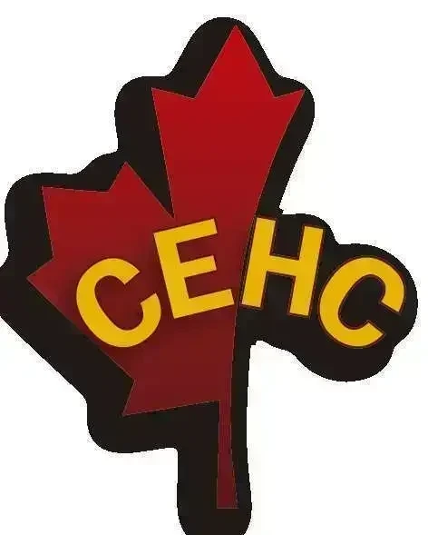 Canadian Healthcare Council.